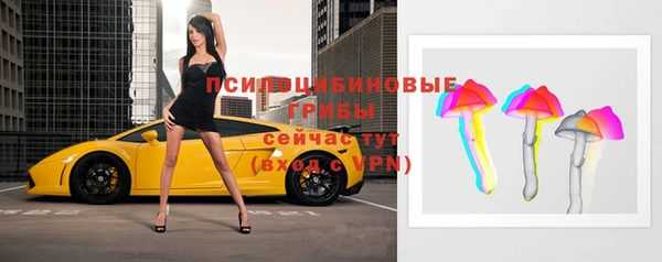 трава Белокуриха