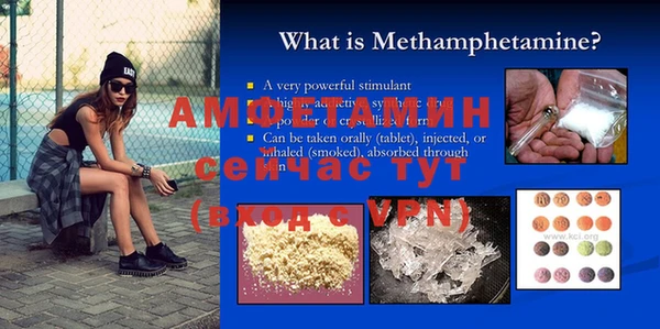 трава Белокуриха